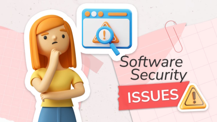 software-security-issues